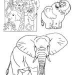 Screenshot 2020-05-11 at 15.35.22